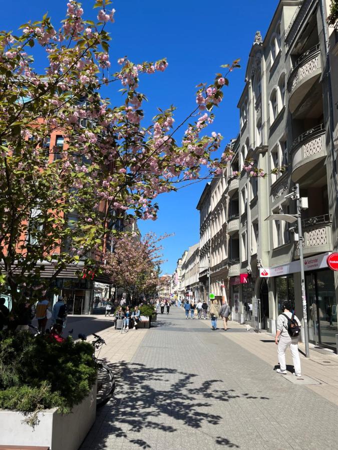 Sloneczny Apartament Centrum Poznania Klimatyzacja Wi-Fi Tv Zmywarka Pralka Piekarnik Экстерьер фото